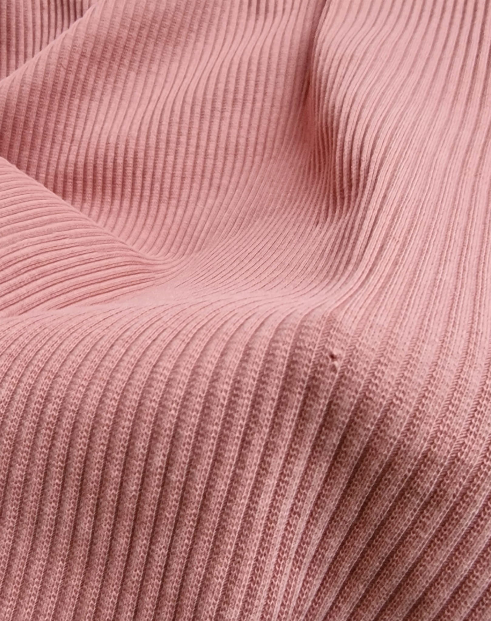 1000019066.jpg